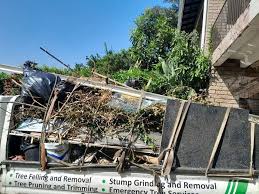 Best Furniture Removal  in Crete, NE